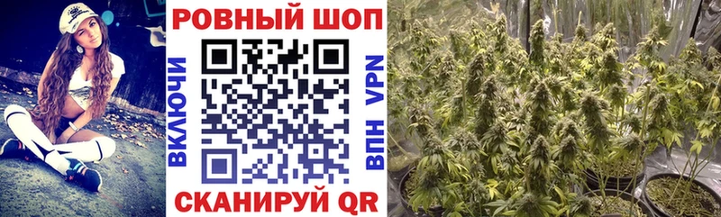 Что такое Краснообск Канабис Меф мяу мяу