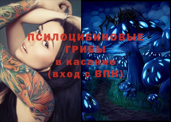 прущие грибы Алексин