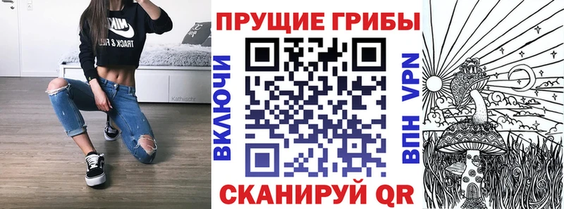 купить закладку  Краснообск  Псилоцибиновые грибы Psilocybine cubensis 